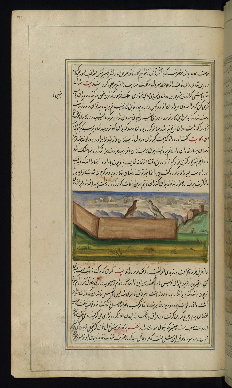 Dos palomas y un suministro de grano de Luces de Canopus de Persian School