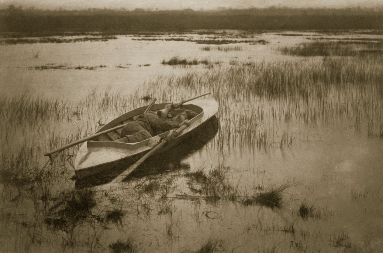 Artillero despertando a las aves, Vida y Paisaje en los Broads de Norfolk, c.1886 de Peter Emerson und Thomas Goodall