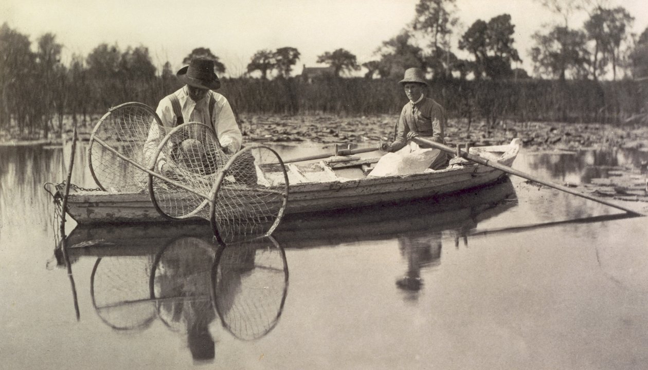 Colocando la Red de Arco, Vida y Paisaje en los Broads de Norfolk; c.1886 de Peter Emerson und Thomas Goodall