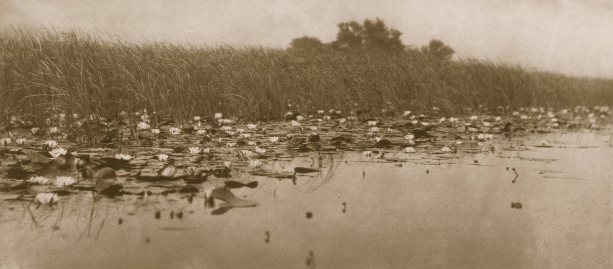 Nenúfares, Vida y Paisaje en los Broads de Norfolk, 1886 de Peter Emerson und Thomas Goodall