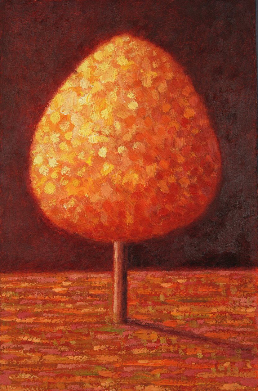Árbol bañado por el sol, 1996 de Peter Davidson