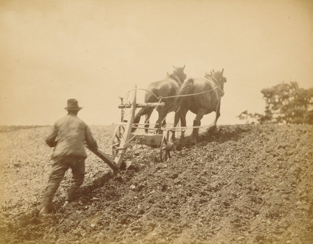 Un tirón fuerte de Peter Henry Emerson