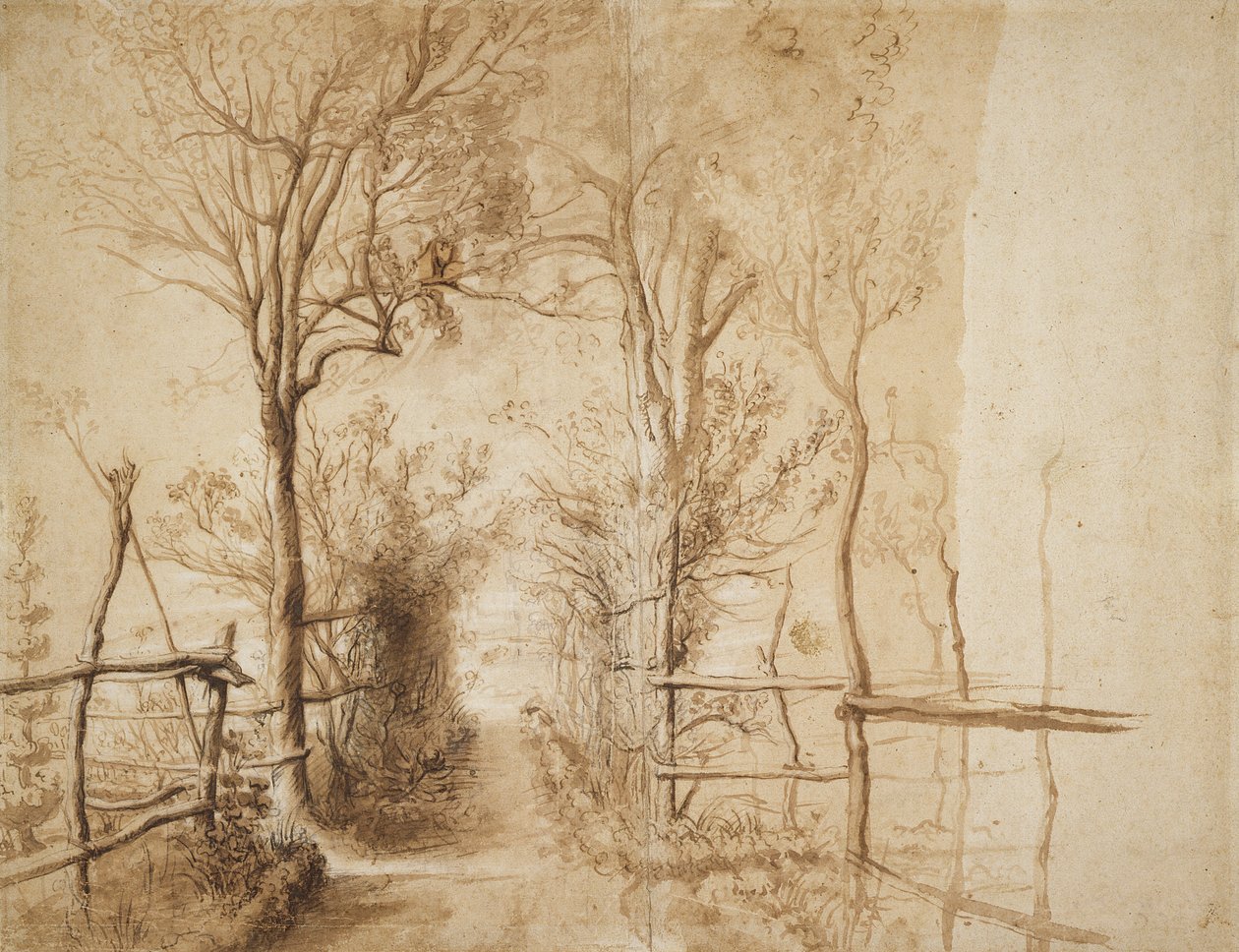 Un Camino bordeado de Árboles de Peter Paul Rubens