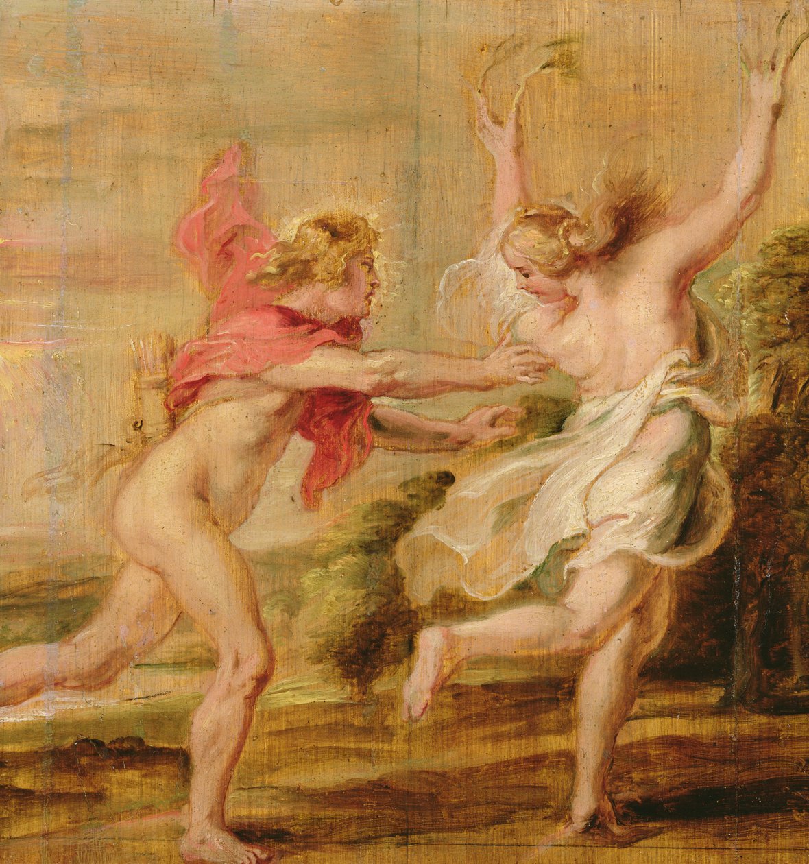 Apolo y Dafne, c.1636 de Peter Paul Rubens