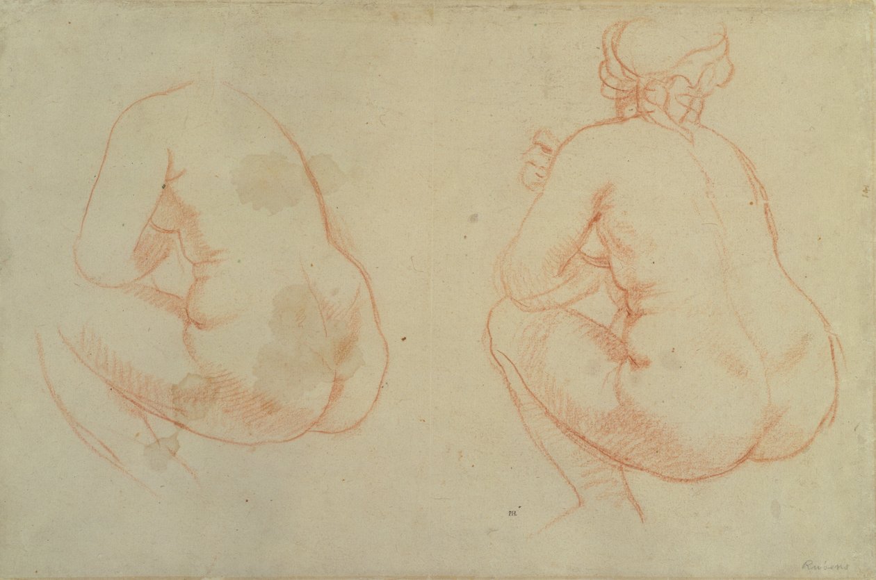Estudios de desnudos femeninos de Peter Paul Rubens