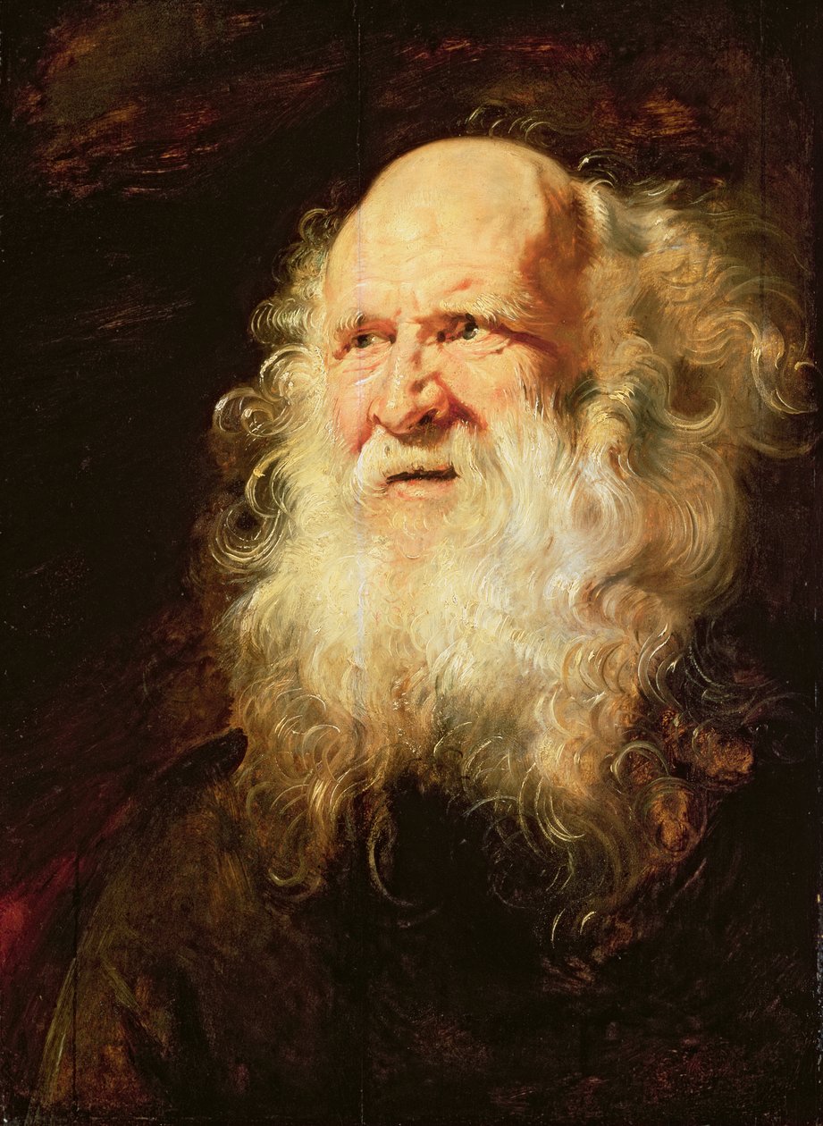 Estudio de cabezas de un anciano, c.1612 de Peter Paul Rubens