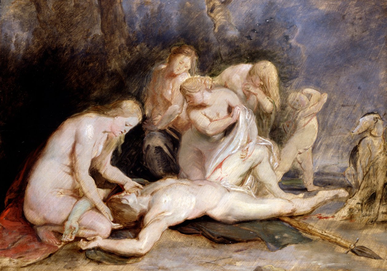 Venus llorando a Adonis de Peter Paul Rubens