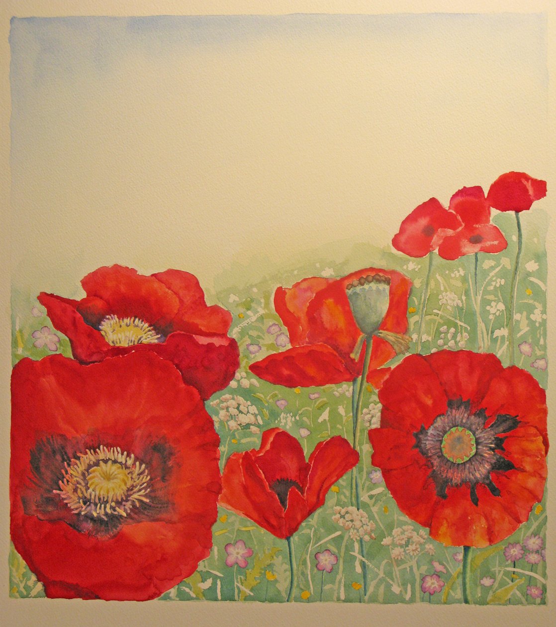 Campo de amapolas de Peter A Ford