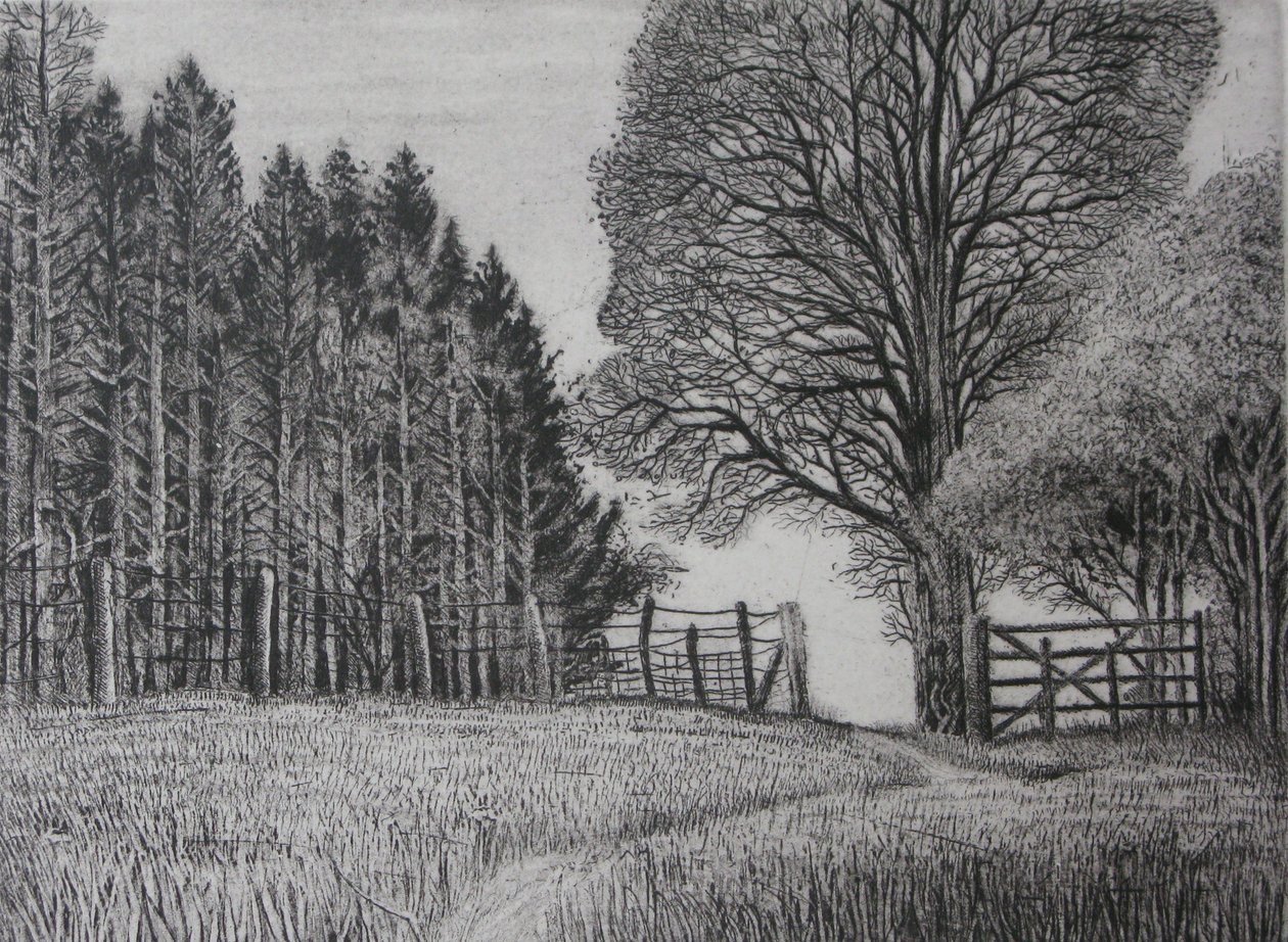 La senda del bosque - Primavera de Peter A Ford