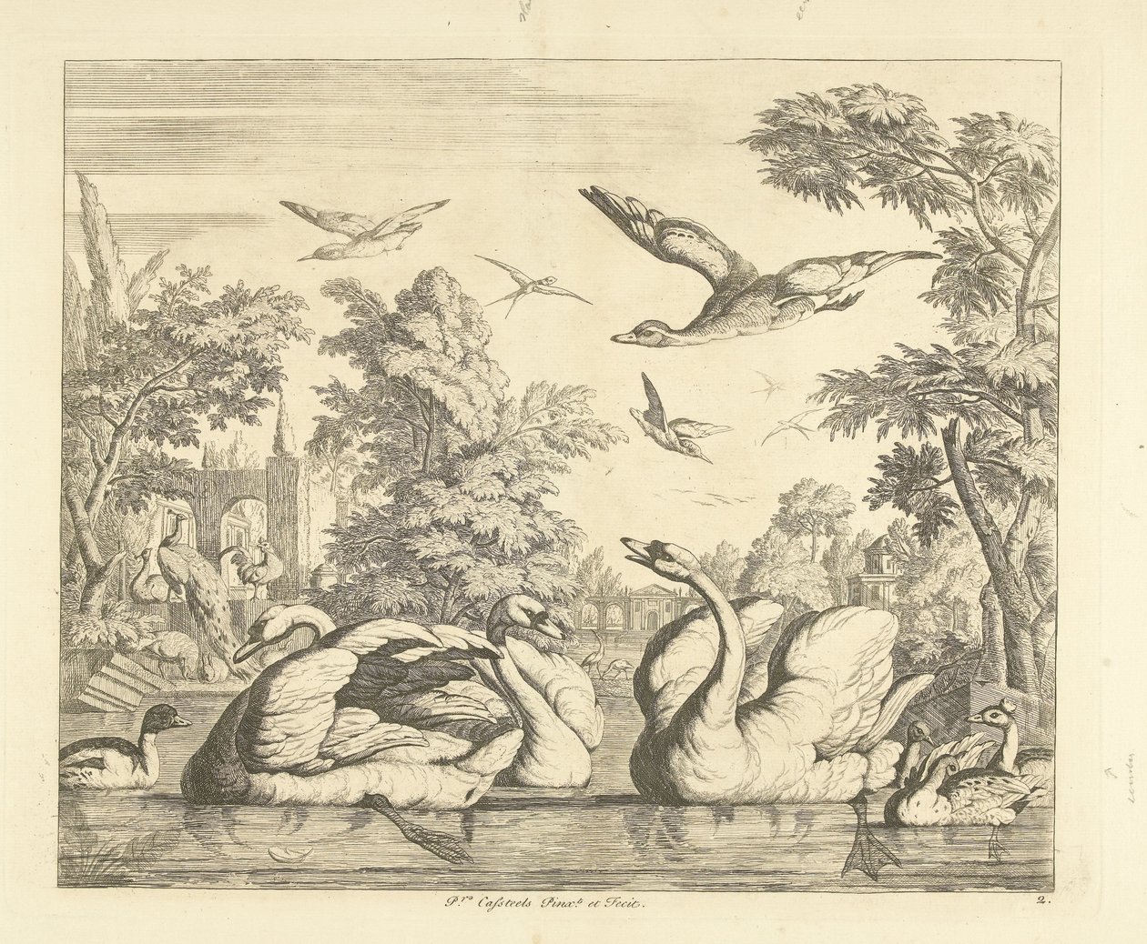 Tres cisnes y otras aves junto a un estanque Aves diferentes (título de la serie) de Peter Casteels (III)
