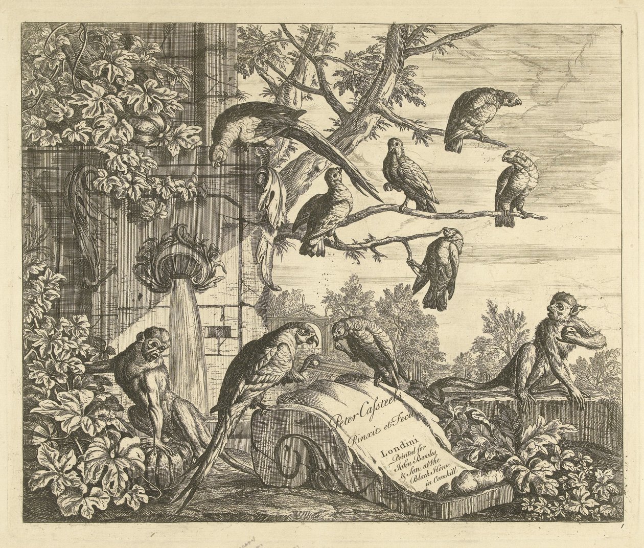 Loros y monos en una fuente de jardín Aves diferentes (título de la serie) de Peter Casteels (III)