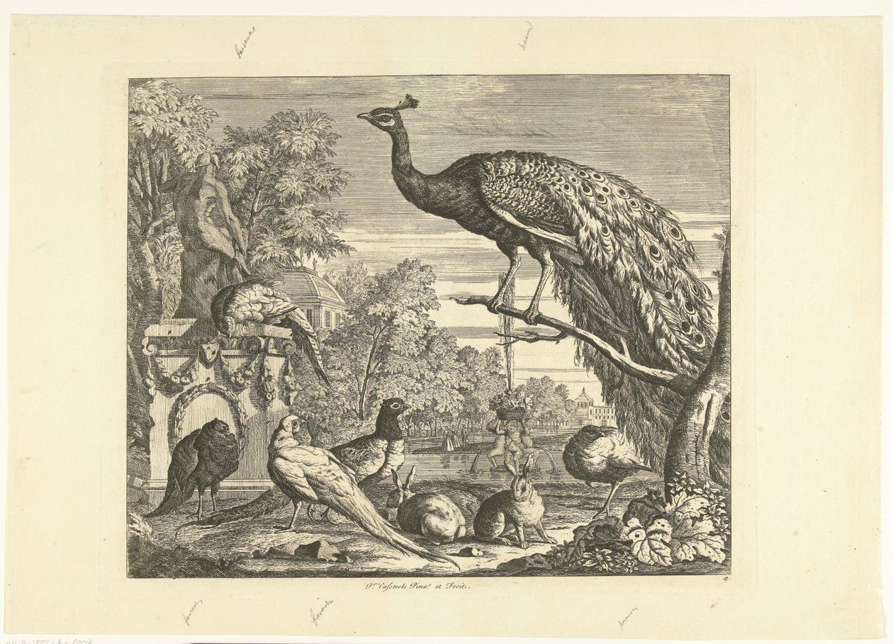 Pavo real, conejos y otras aves en una fuente de jardín Aves diferentes (título de la serie) de Peter Casteels (III)