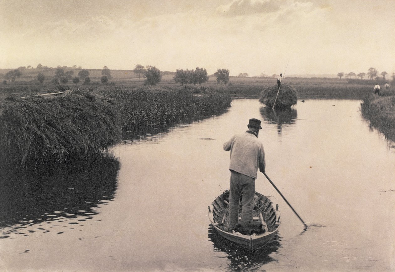 Cuartando el heno del pantano, Vida y paisaje en los Norfolk Broads, c.1886 de Peter Emerson und Thomas Goodall
