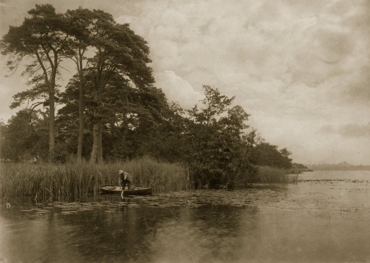 El refugio del lucio, c.1886 de Peter Emerson und Thomas Goodall