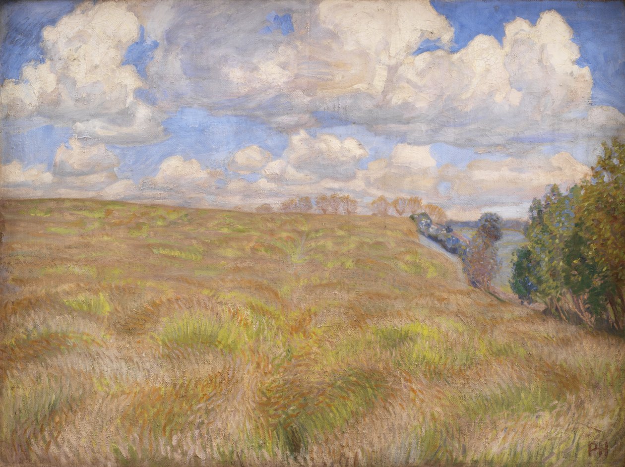 Un campo de centeno ondulante de Peter Hansen