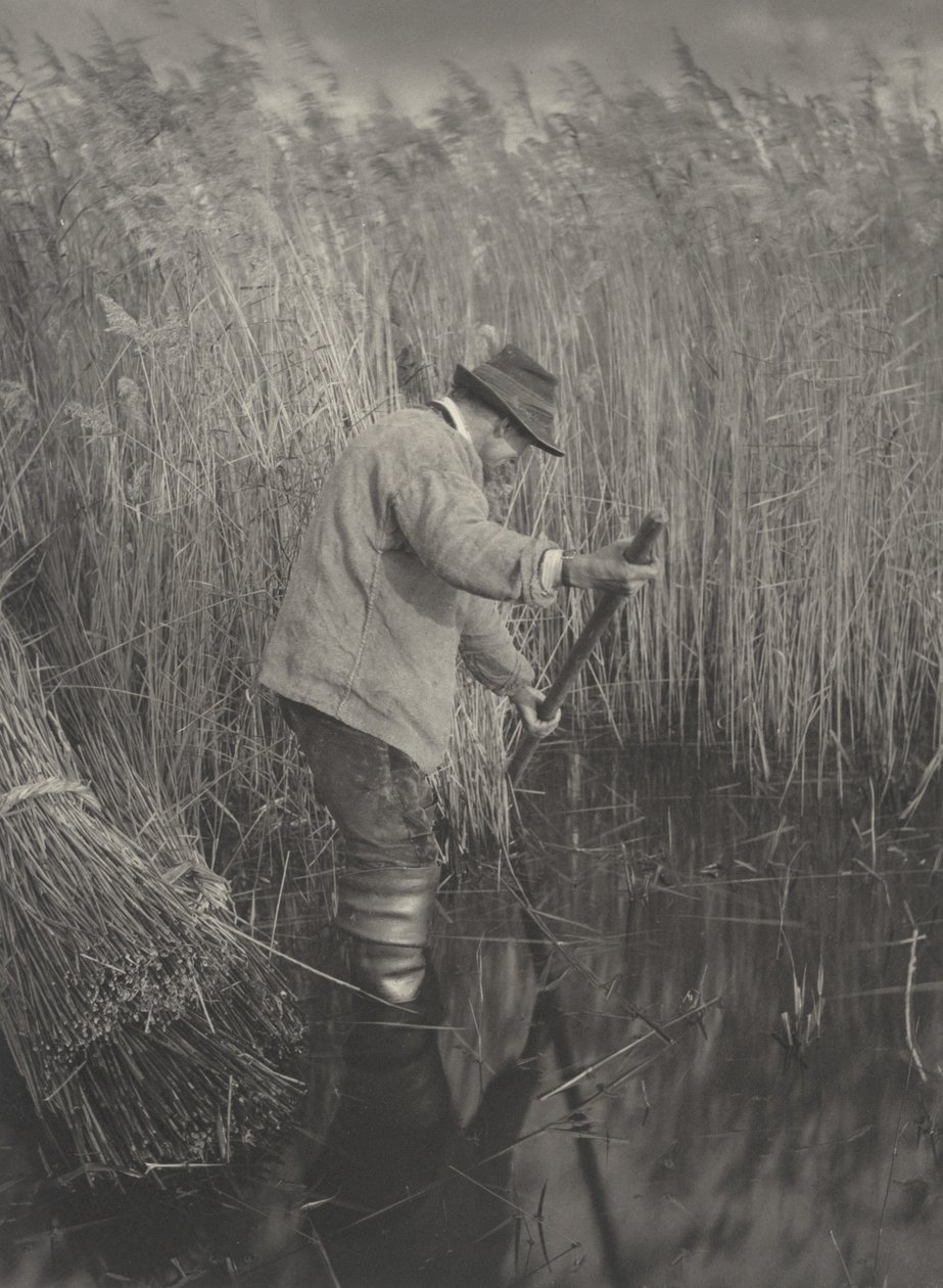 Un cortador de juncos trabajando, 1886 de Peter Henry Emerson, Thomas Frederick Goodall