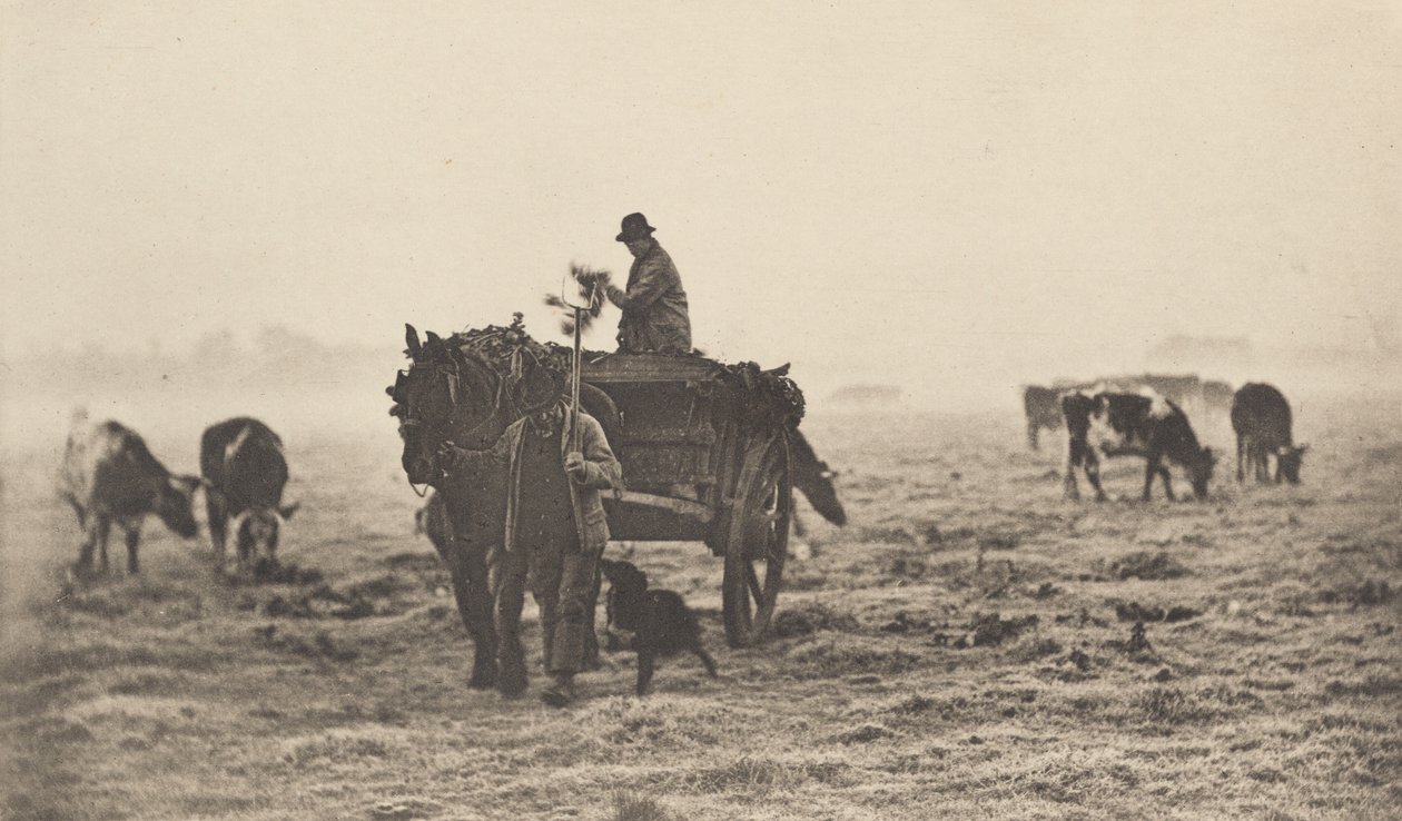 Una Mañana Helada, 1890-1891, impreso en 1893 de Peter Henry Emerson