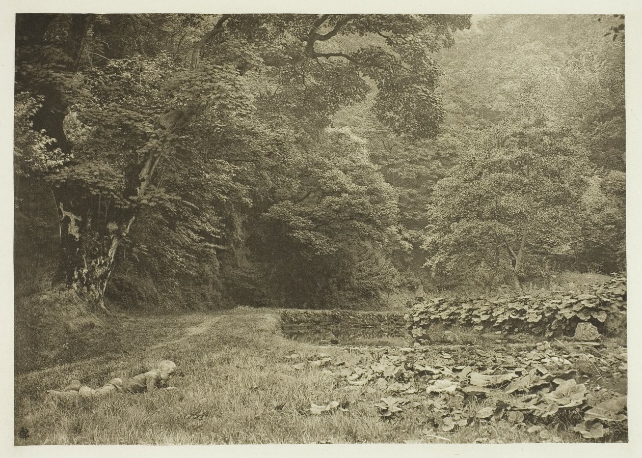 Un rincón tranquilo en Beresford Dale de Peter Henry Emerson