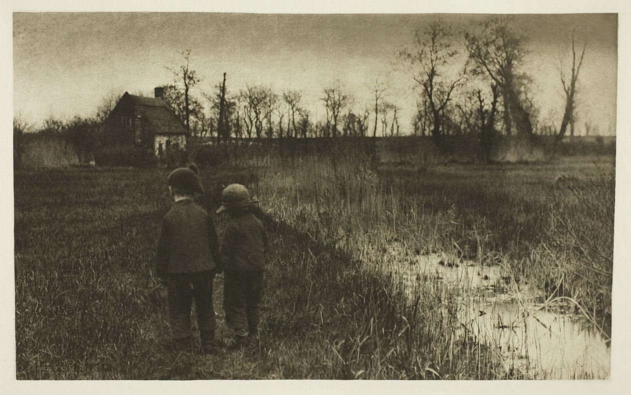 Un Sapo en el Camino: Primavera Temprana en Norfolk de Peter Henry Emerson