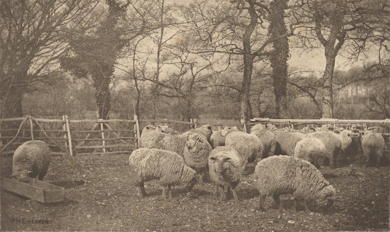 Una pastoral otoñal de Peter Henry Emerson