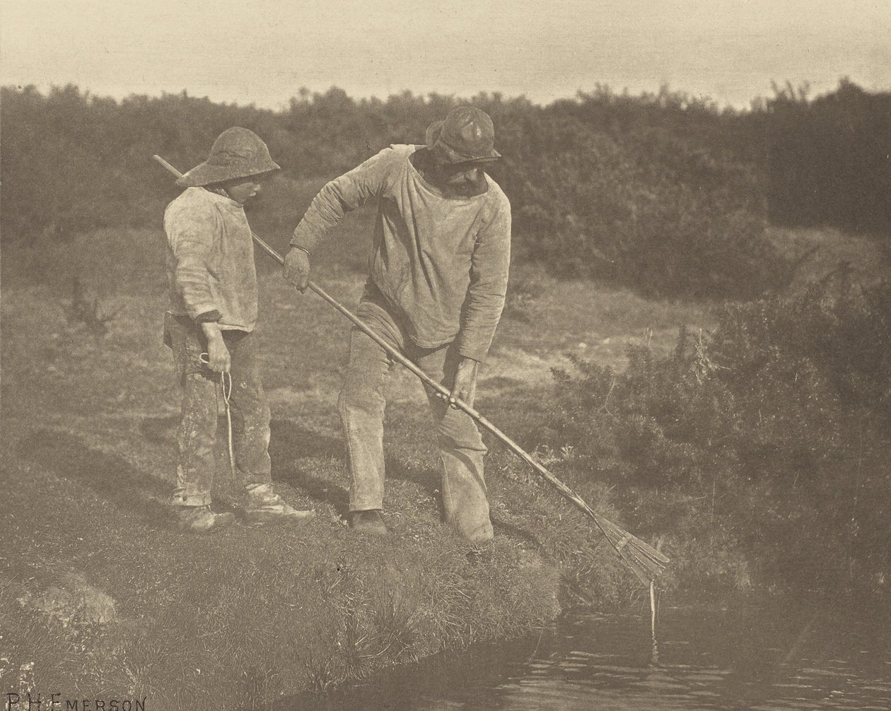 AnguilaRecogida en aguas de Suffolk de Peter Henry Emerson