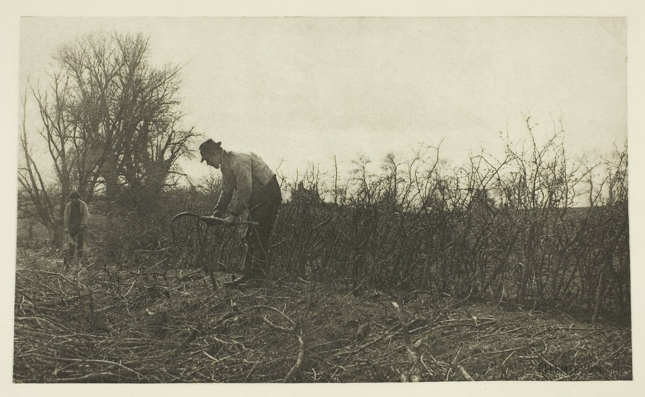 Esgrima en Suffolk de Peter Henry Emerson