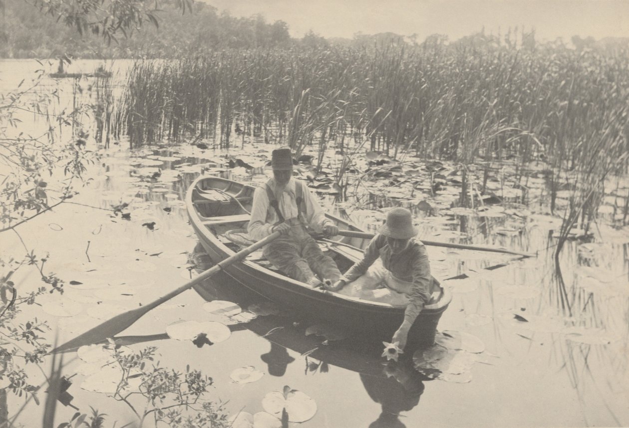Recogida de nenúfares,1886 (foto) de Peter Henry Emerson