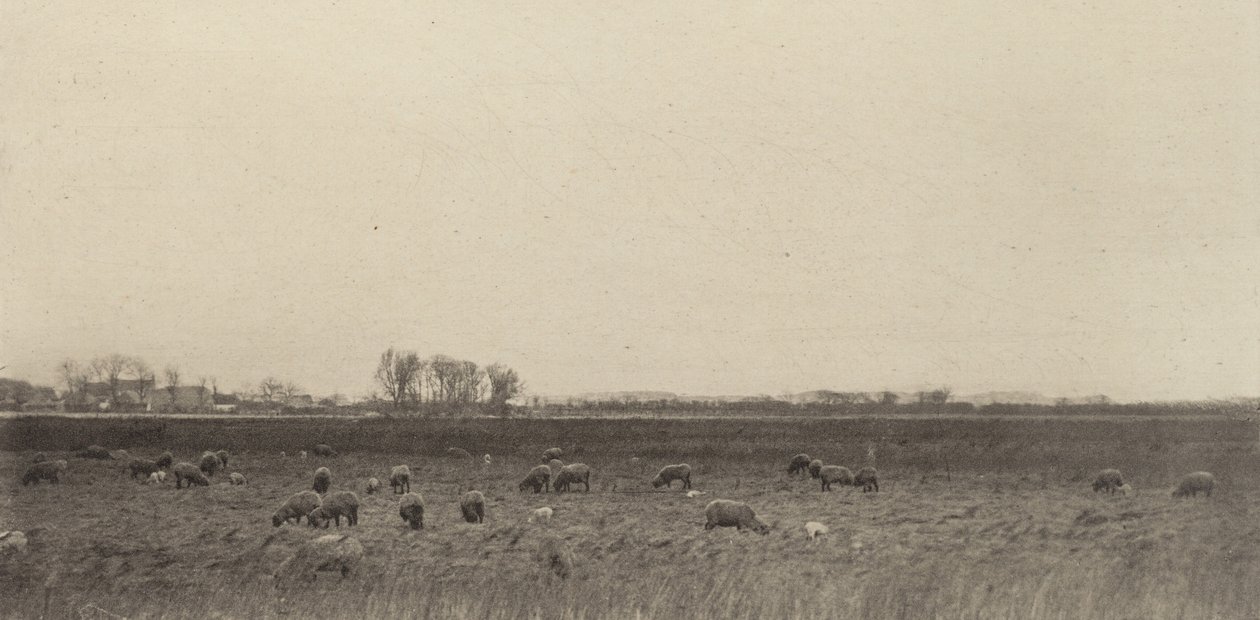 Pantanos junto al Mar del Norte de Peter Henry Emerson