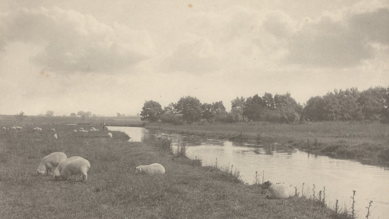 En el río Bure,1886 (foto) de Peter Henry Emerson