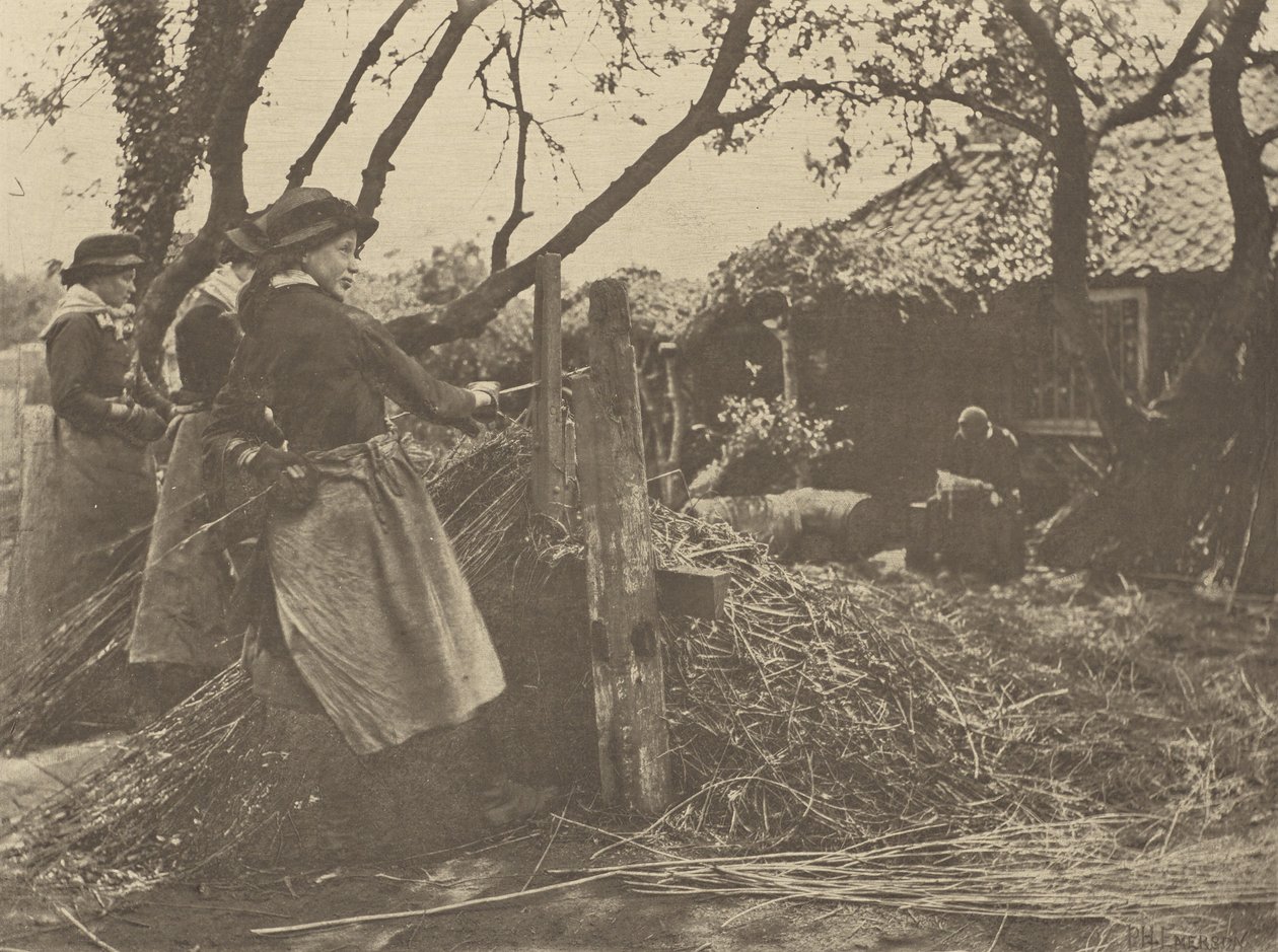 MimbrePeeling. [Norfolk]]. de Peter Henry Emerson
