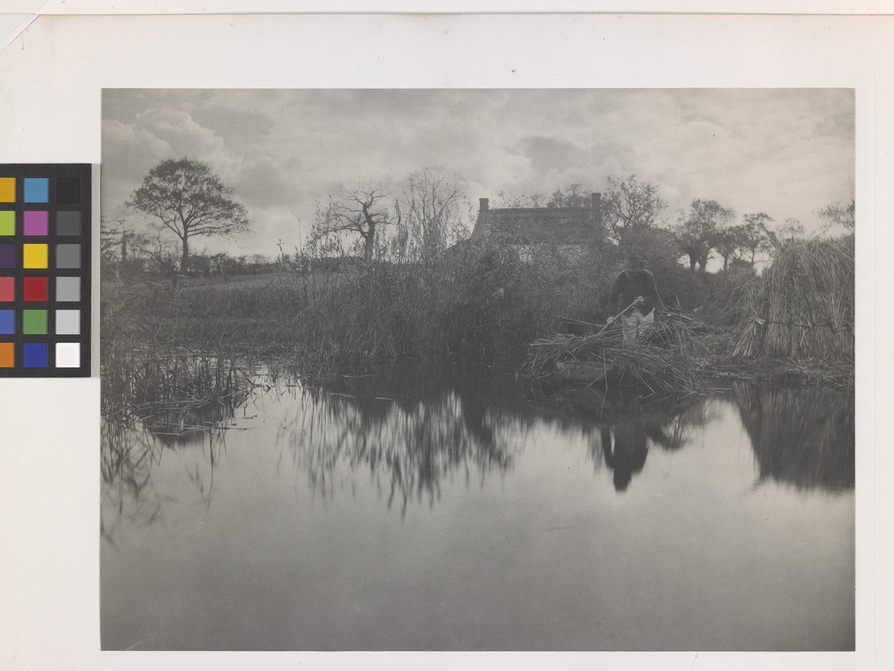 Quanting The Gladdon (impresión en platino sobre soporte original) de Peter Henry Emerson