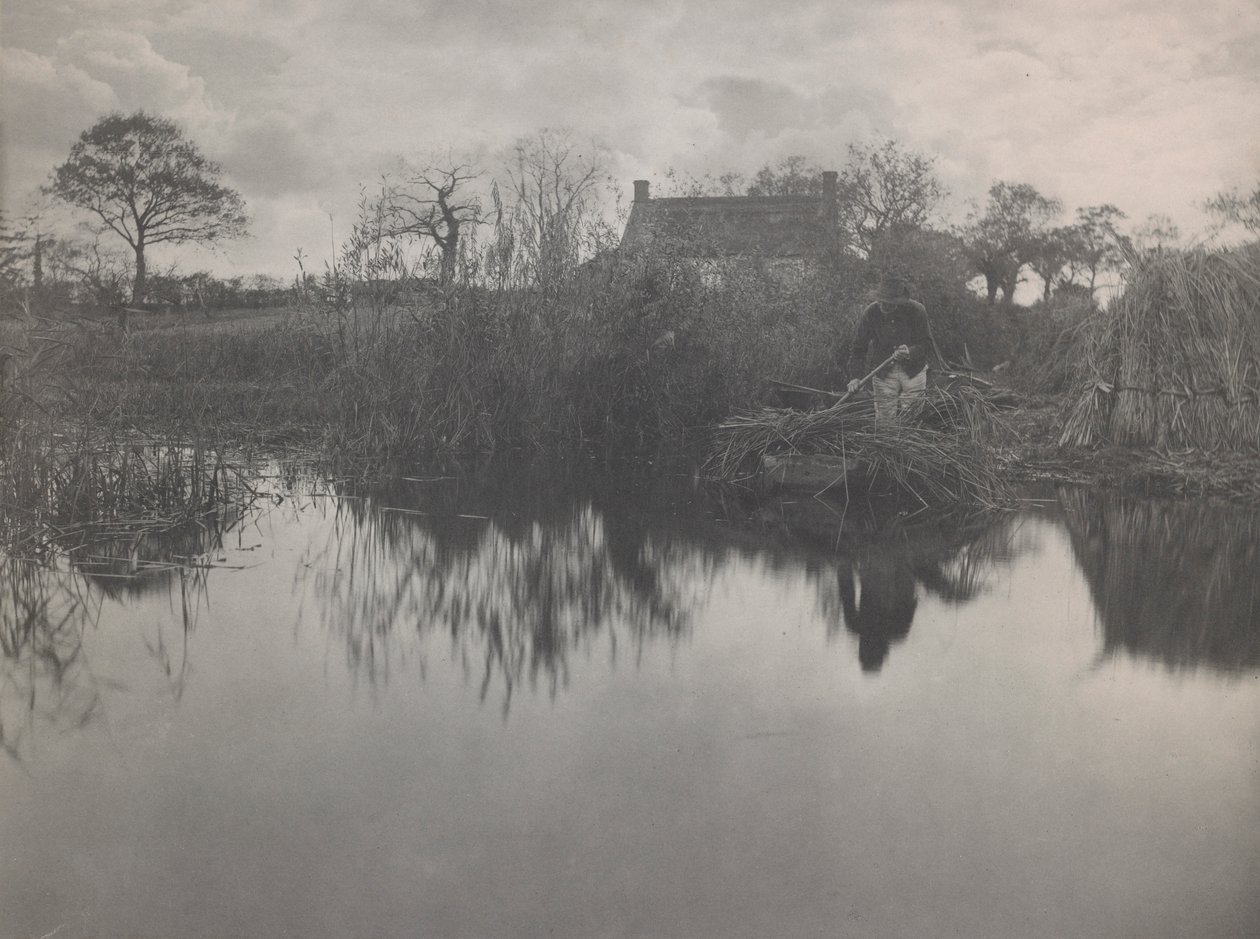 Cuantificación del Gladdon de Peter Henry Emerson
