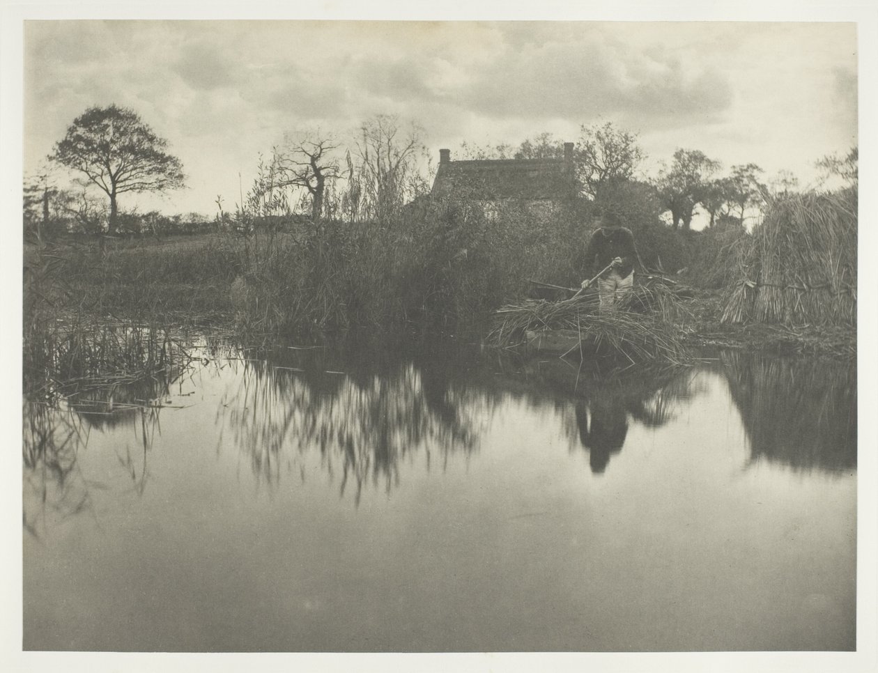Cuantificación del Gladdon de Peter Henry Emerson