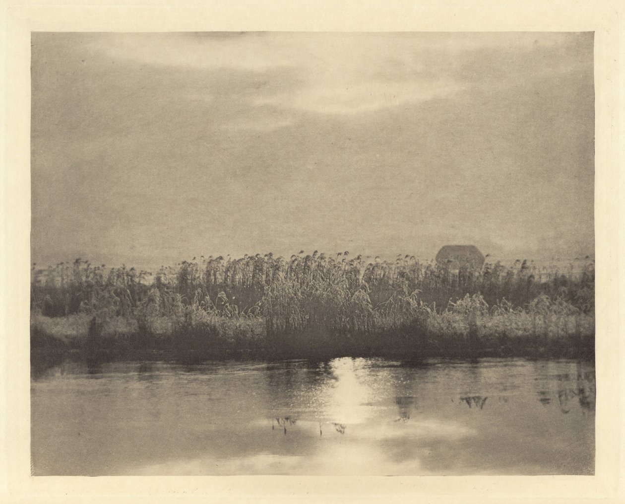 Cristales de Escarcha de Peter Henry Emerson