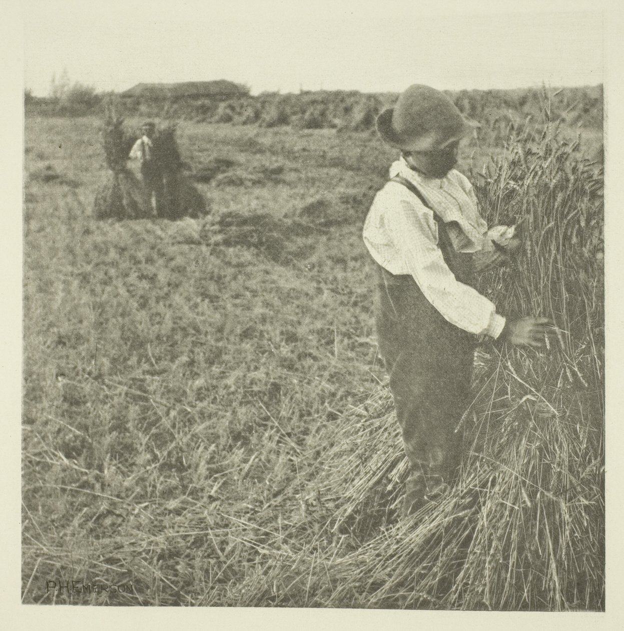 Cosecha de maíz (Norfolk) de Peter Henry Emerson