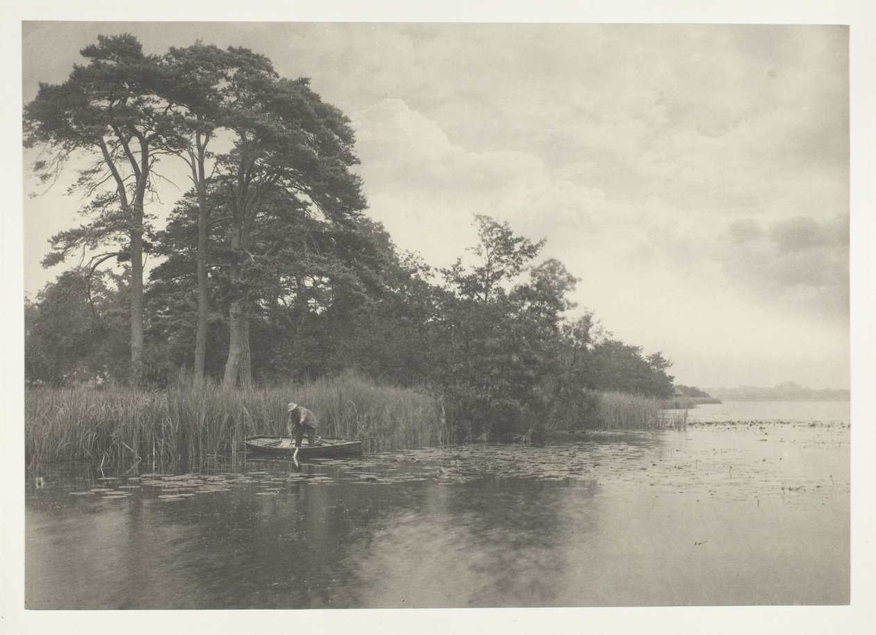 El refugio del lucio de Peter Henry Emerson