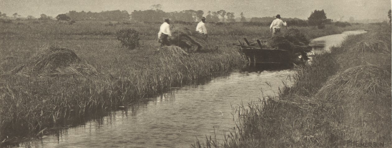 La cosecha de juncos de Peter Henry Emerson