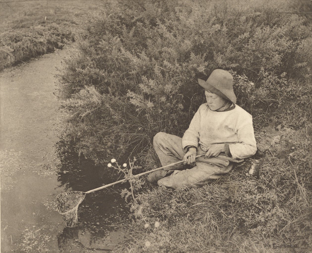 El cazador de espinos de Peter Henry Emerson