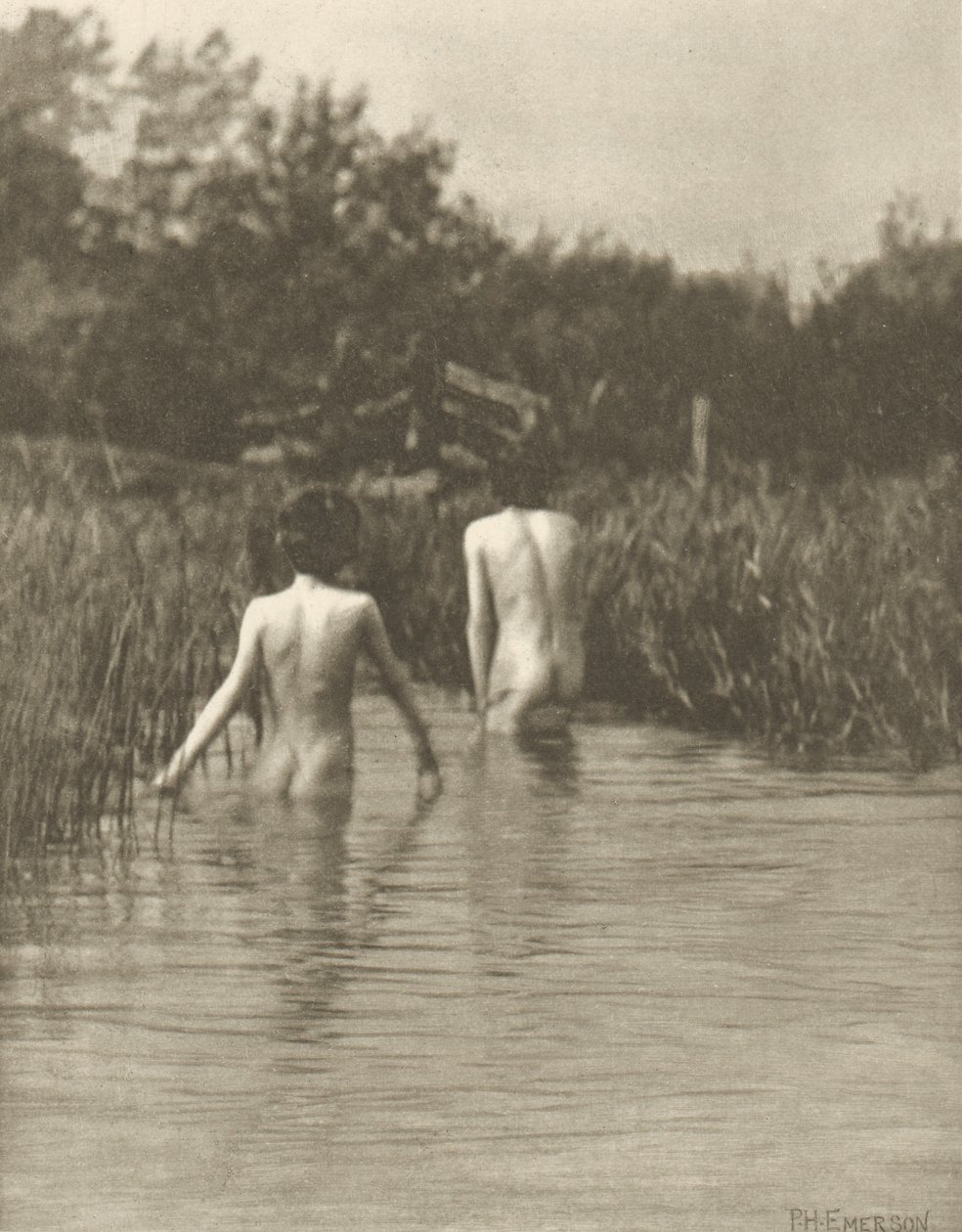 Bebés de agua de Peter Henry Emerson
