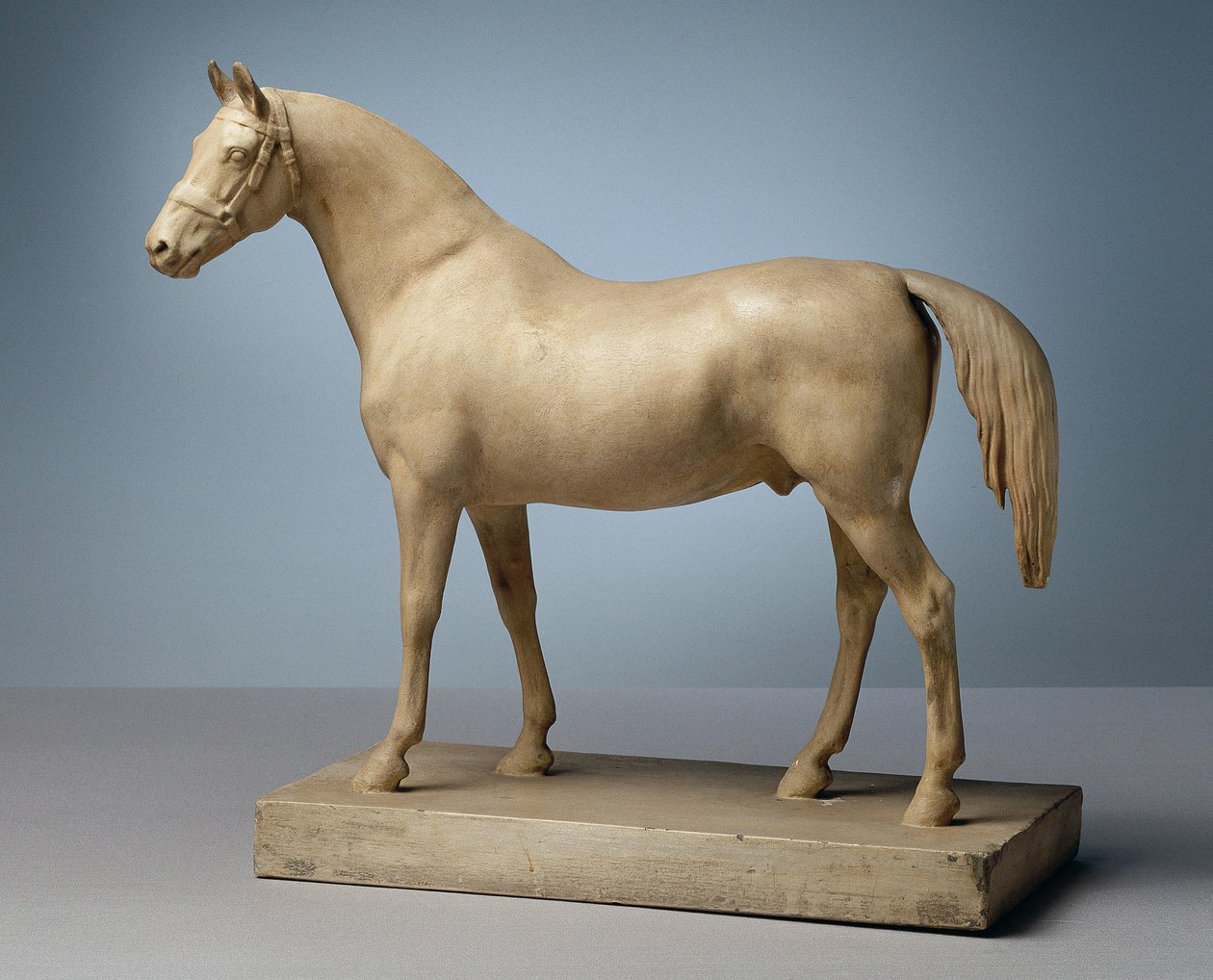Caballo sin silla de Peter Krafft