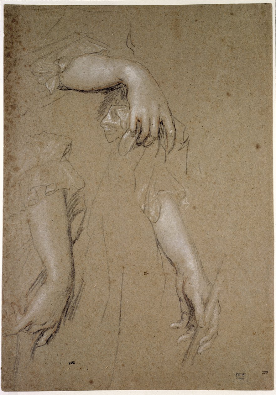 Estudios de manos, siglo XVII de Peter Lely