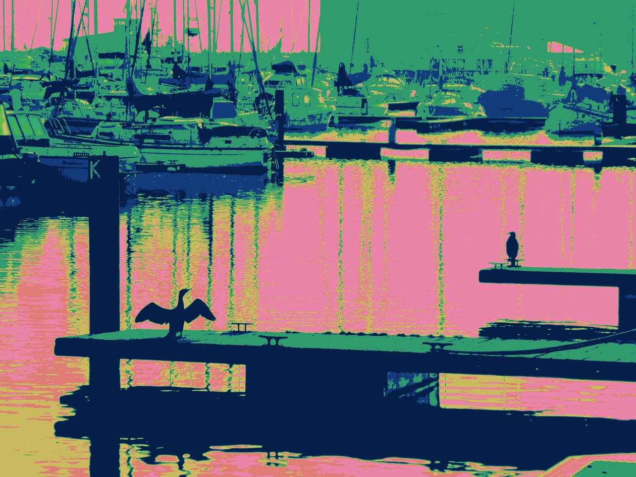 CORTEJO HARTLEPOOL, 2014 de Peter McClure