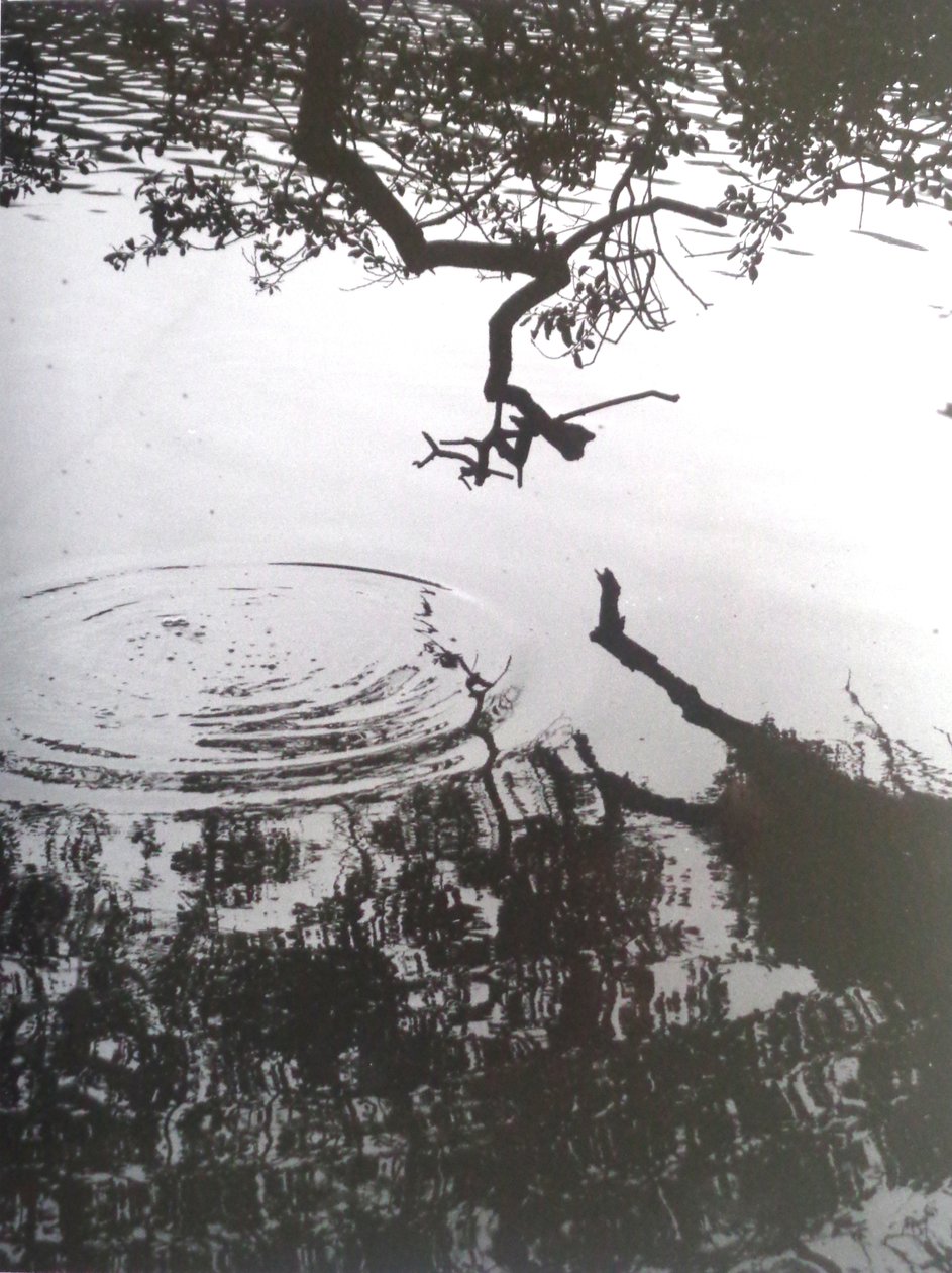 FOTO VINTAGE B&N No.5, 1986 de Peter McClure