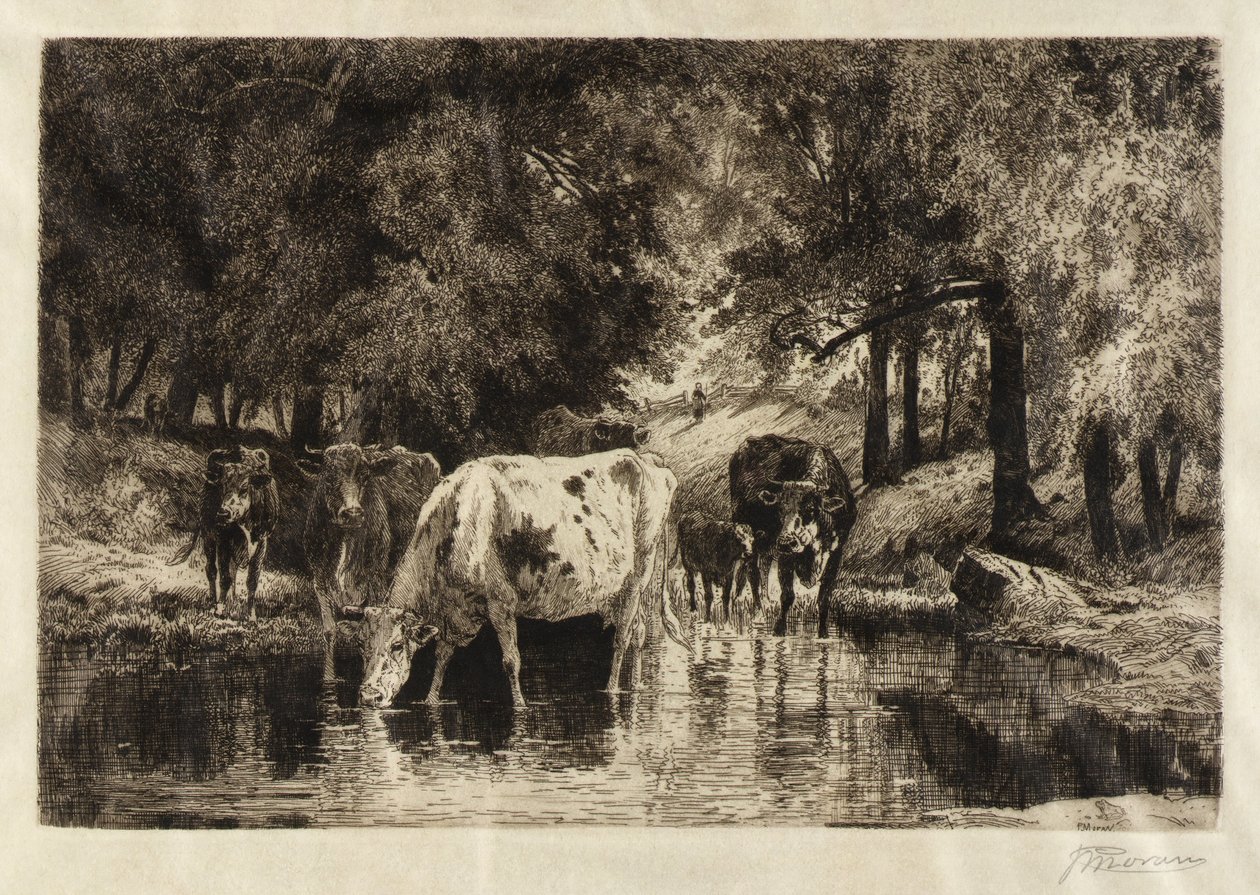 La piscina de Peter Moran