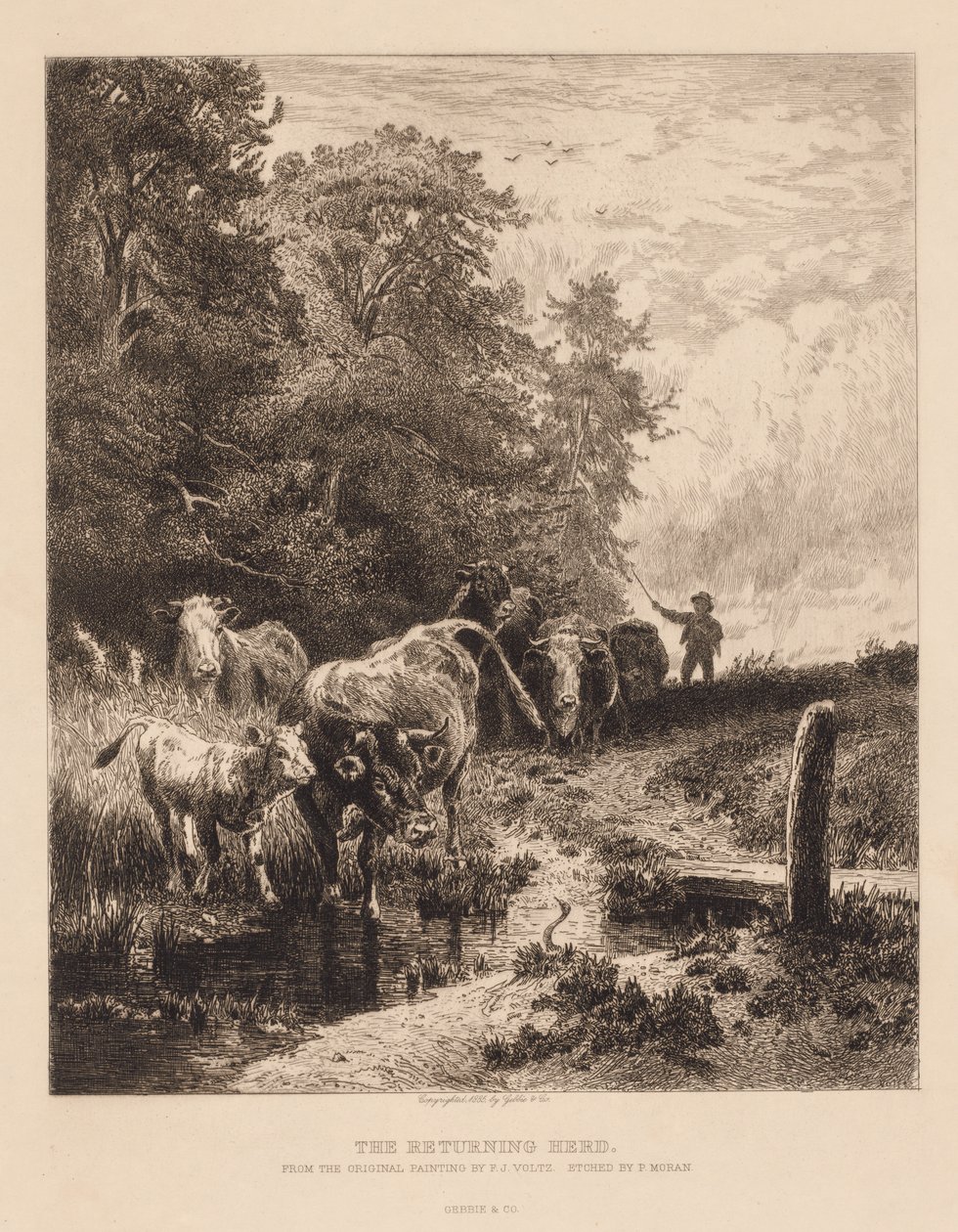 El rebaño que regresa, c. 1885 de Peter Moran