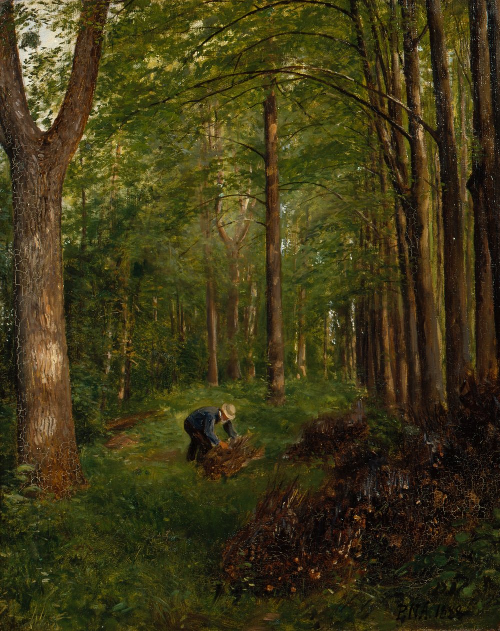 Viejo popler, sección del jardín de Gulskov de Peter Nicolai Arbo