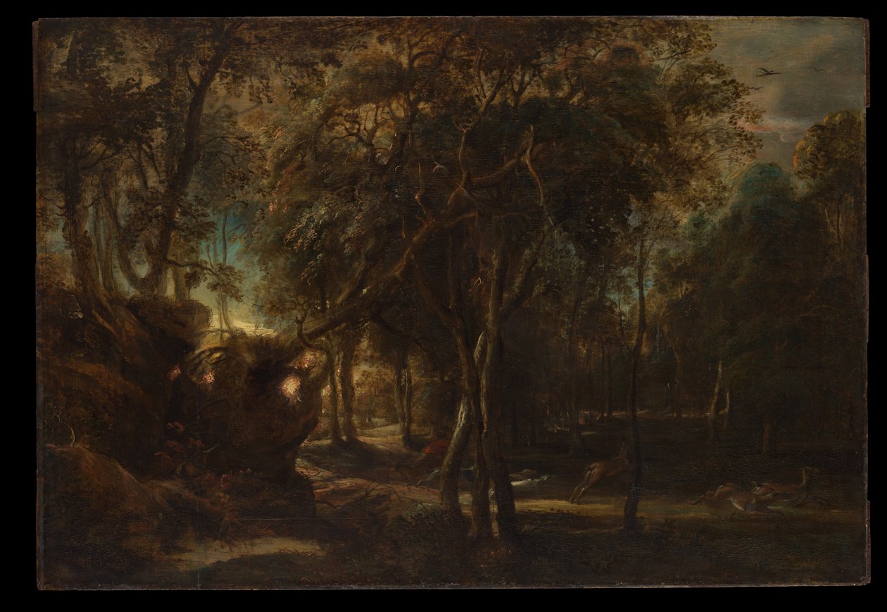 Un bosque al amanecer con una cacería de ciervos de Peter Paul Rubens