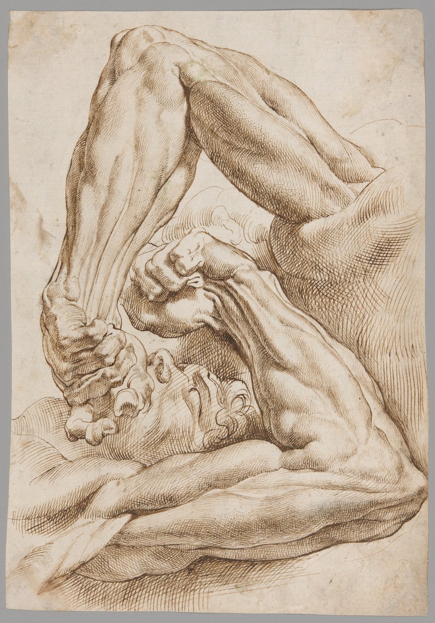 Una hoja de estudios anatómicos de Peter Paul Rubens