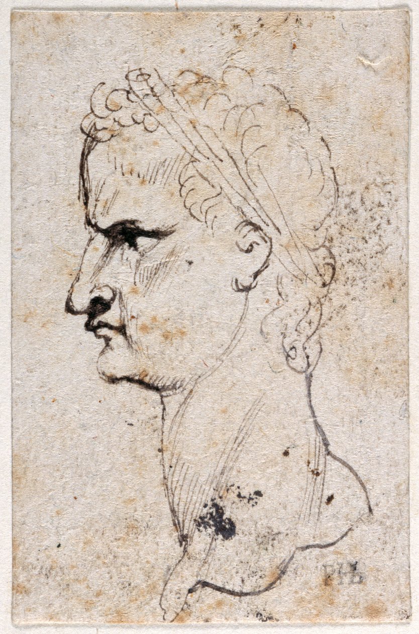 Cayo Calígula, de diez dibujos de ocho de los primeros doce Césares, después de las medallas de Giovanni da Cavino de Peter Paul Rubens