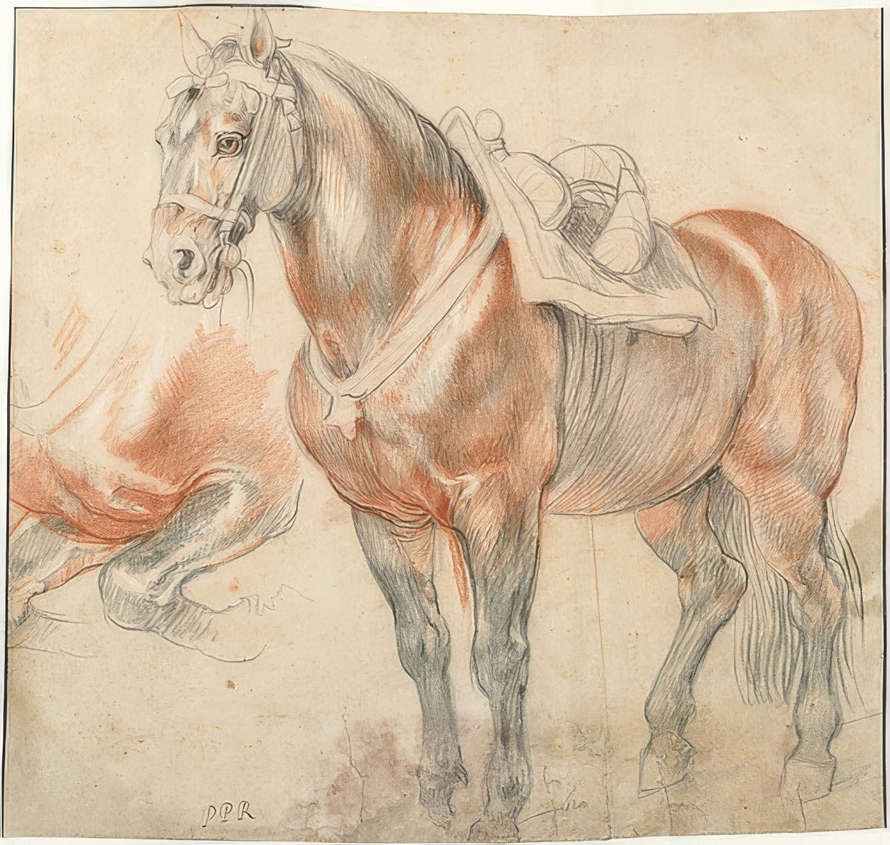 Caballo ensillado de Peter Paul Rubens